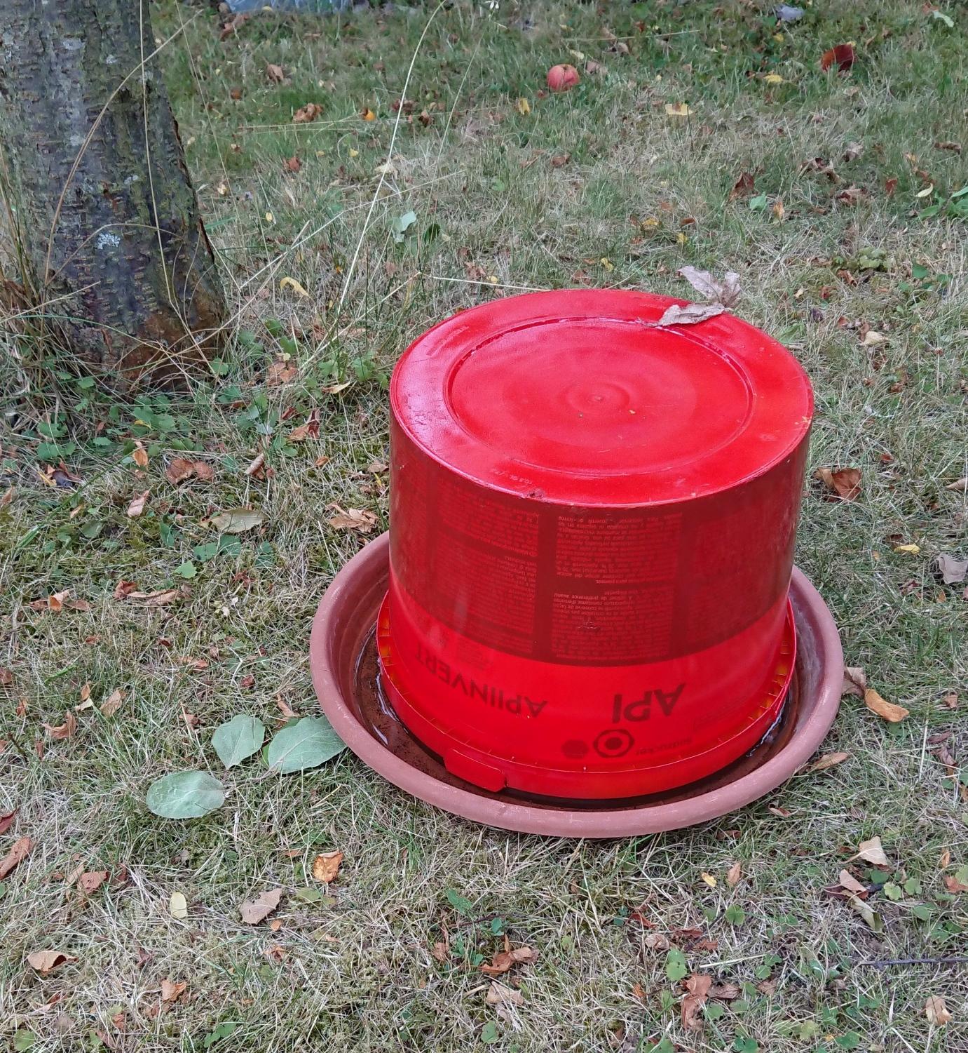 Wassertränke für Insekten aus Futtereimer.
